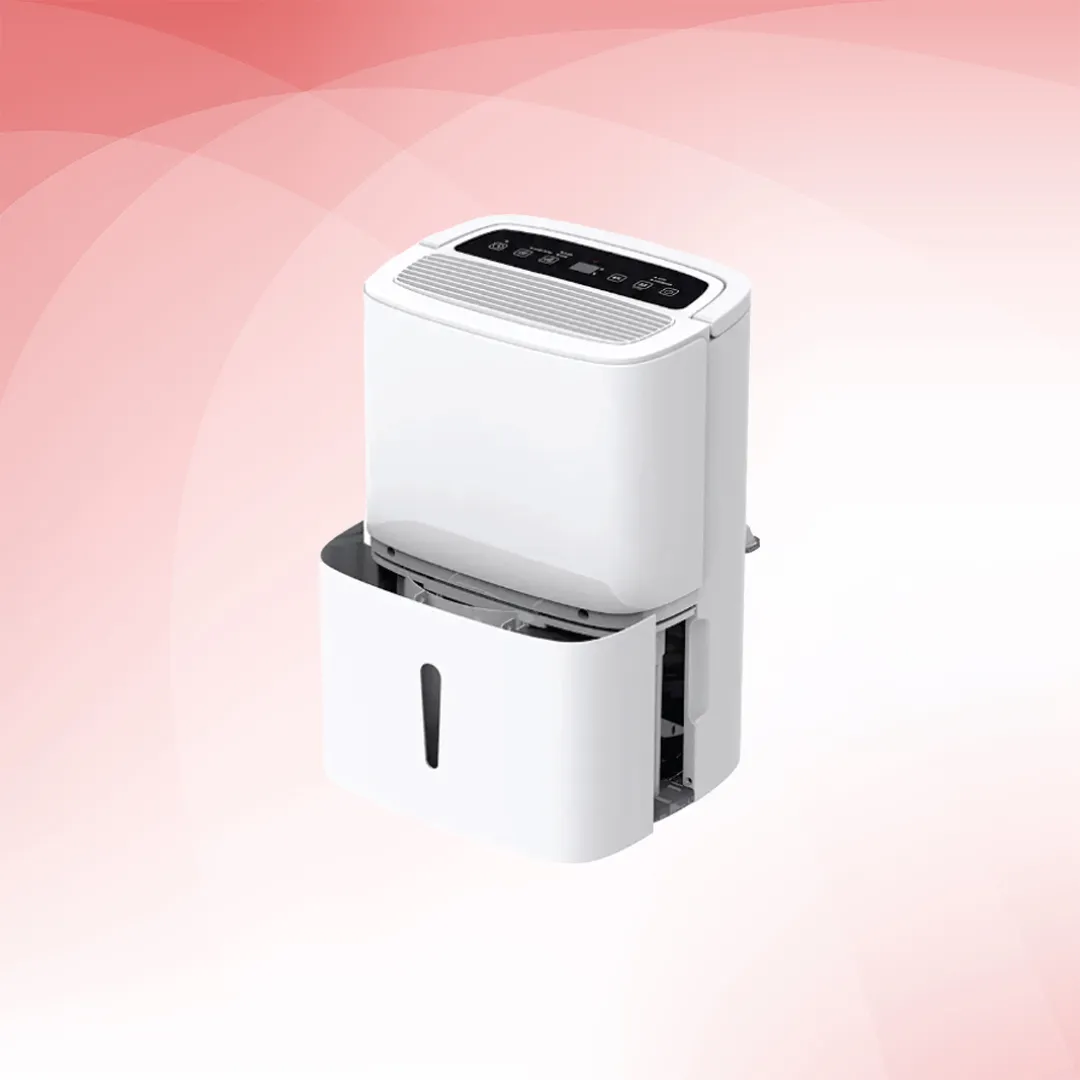 Dehumidifier - Infrastructure Eye Care Patna
